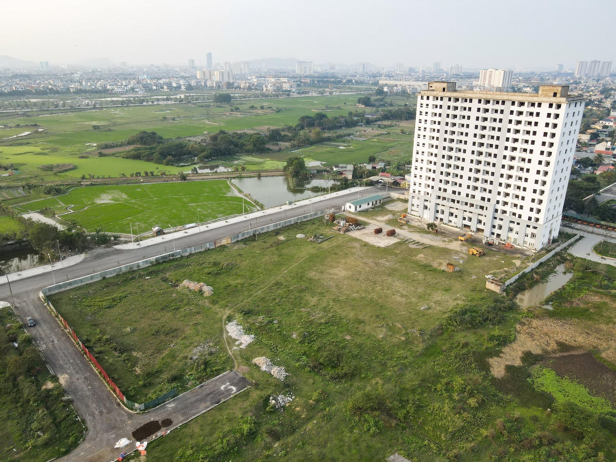 anhbaiduoi(3).jpg