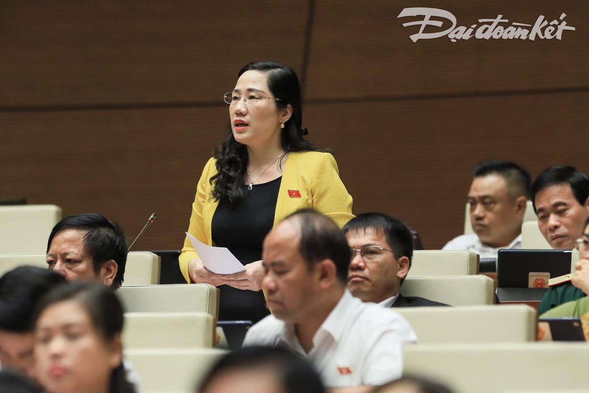 ĐBQH Nguyễn Thị Thủy phát biểu tại hội trường. Ảnh: Quang Vinh.