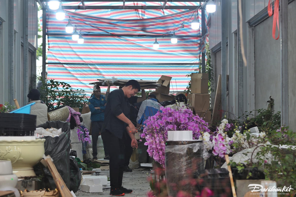 W_hoa_lan_ho_diep_da_lat-le-khanh5.jpg