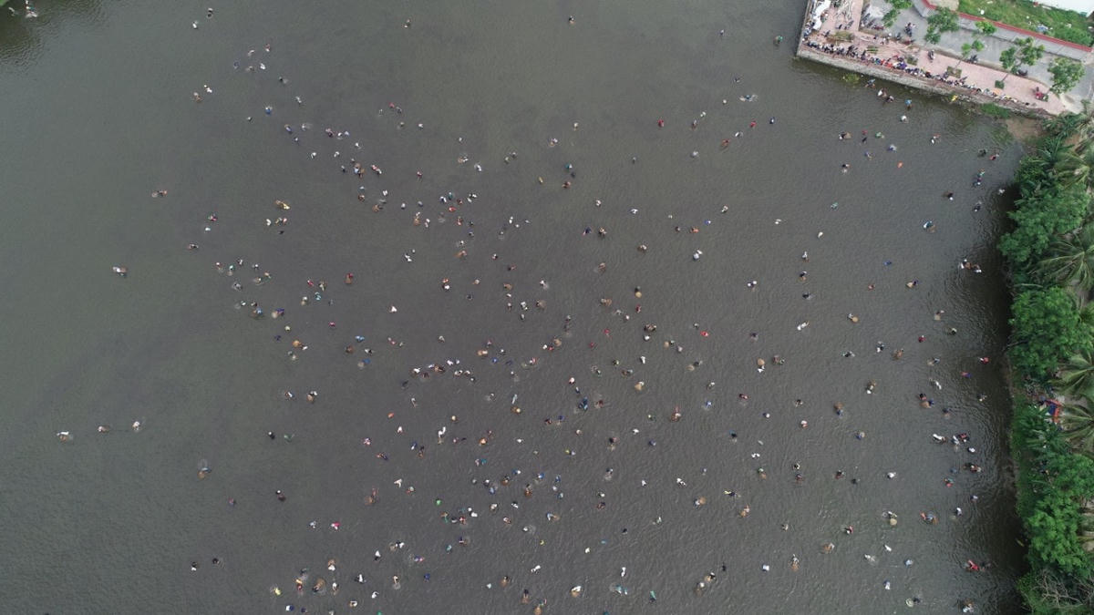 10 phút sau, hồ cá rộng hàng ngàn m2 chật kín người.