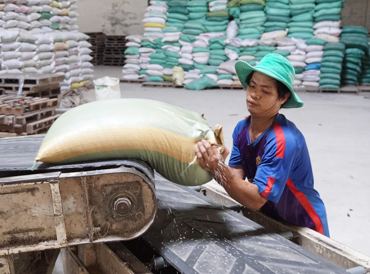 Gạo Việt xuất khẩu đã có những bứt phá về sản lượng và chất lượng. Ảnh: Quang Vinh.