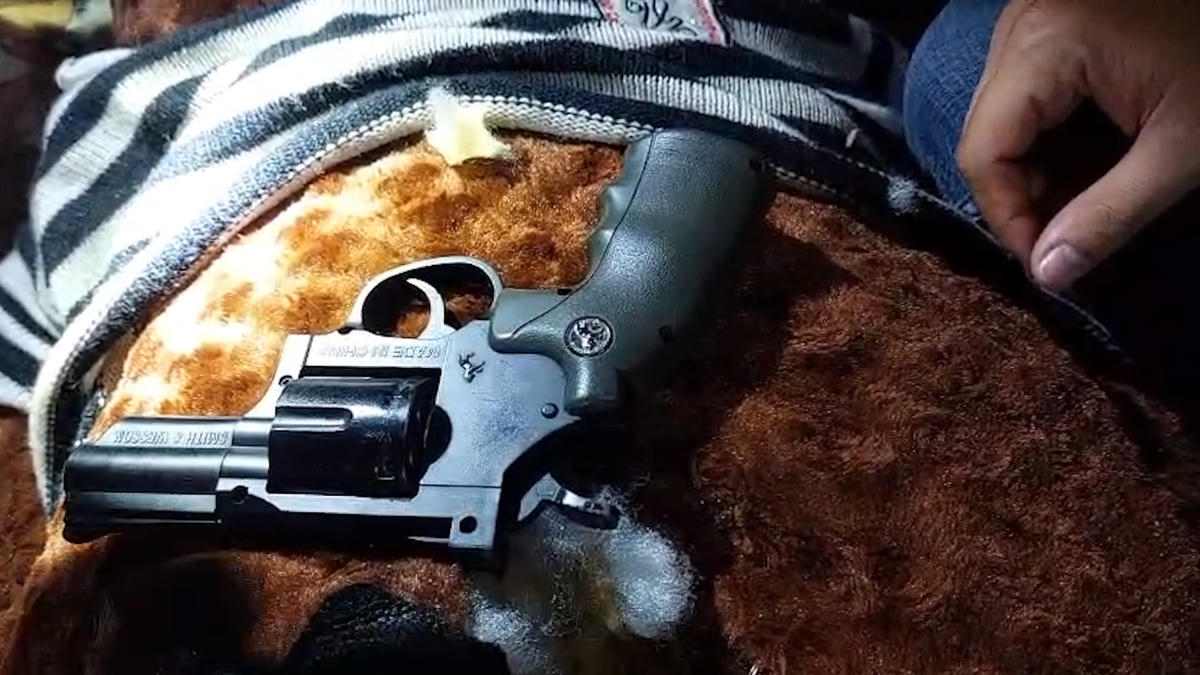 Khẩu súng Phát giấu trong thú nhồi bông.