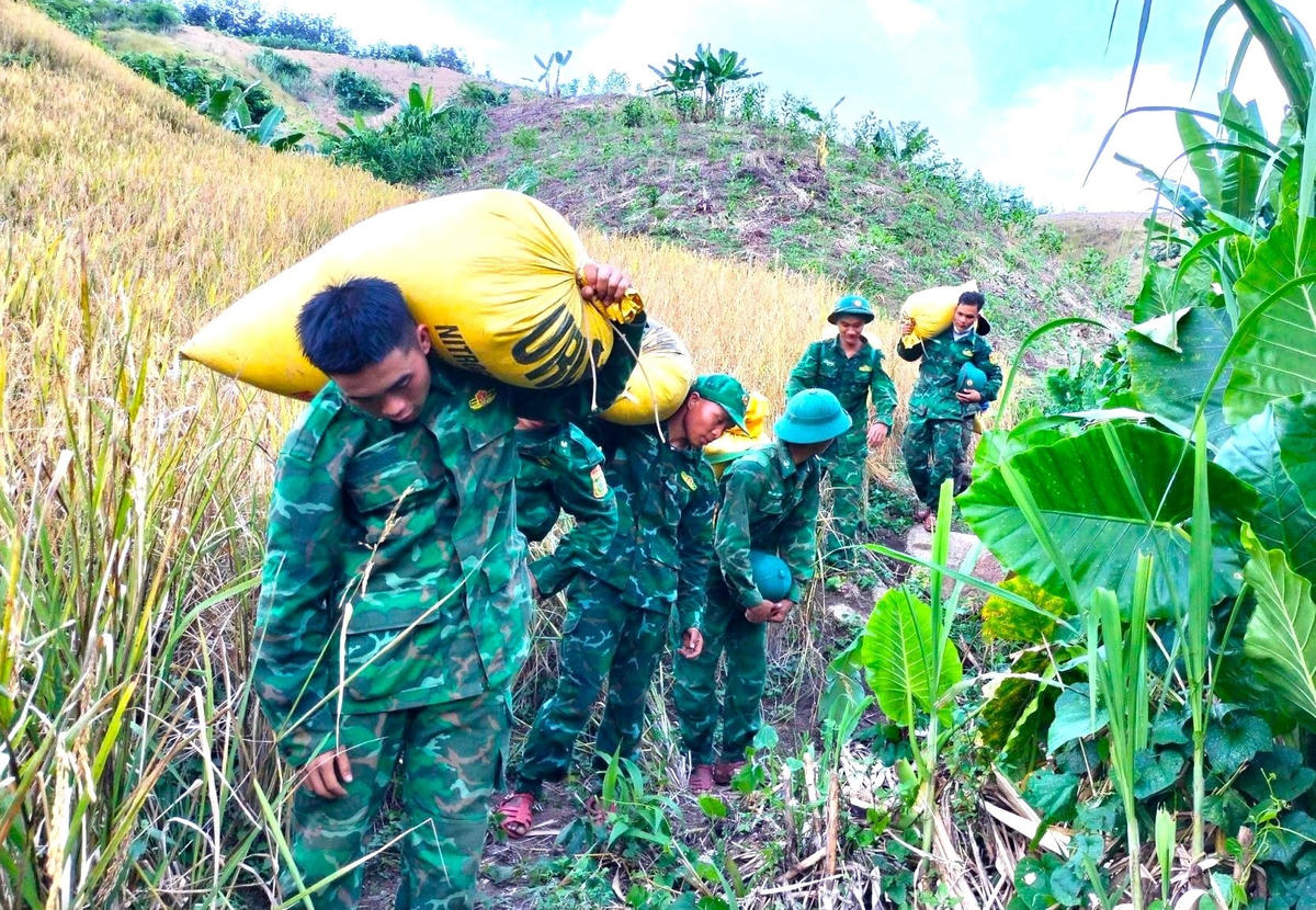 Chiến sĩ đang vác bao lúa từ nương rẫy về nhà cho bà con.