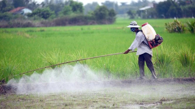 Thuốc trừ sâu hóa học làm cho môi trường nước, không khí và đất ngày càng ô nhiễm.  
