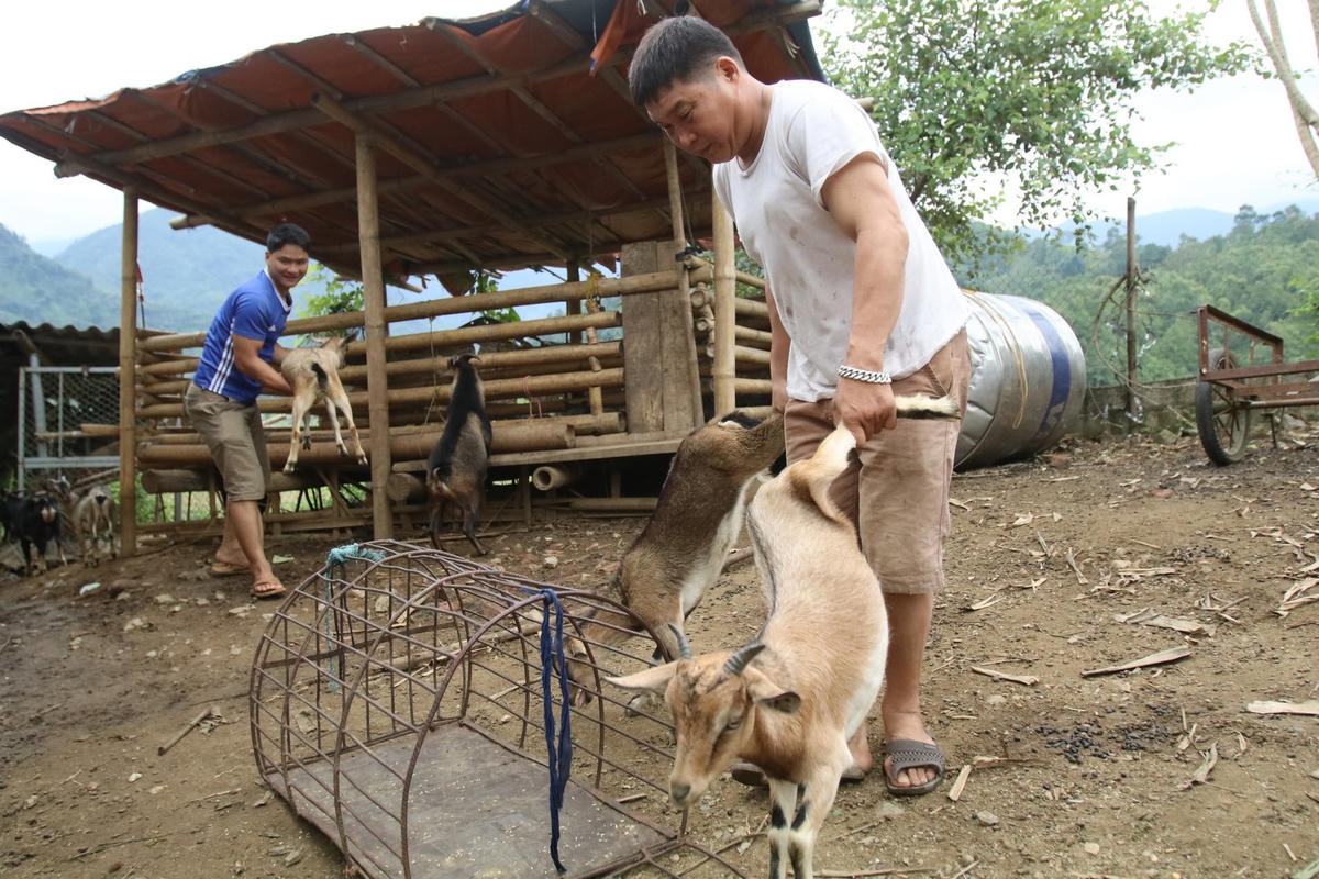 Thông qua các chính sách hỗ trợ, đồng bào dân tộc thiểu số huyện Ba Bể có nguồn vốn chăn nuôi vươn lên thoát nghèo.
