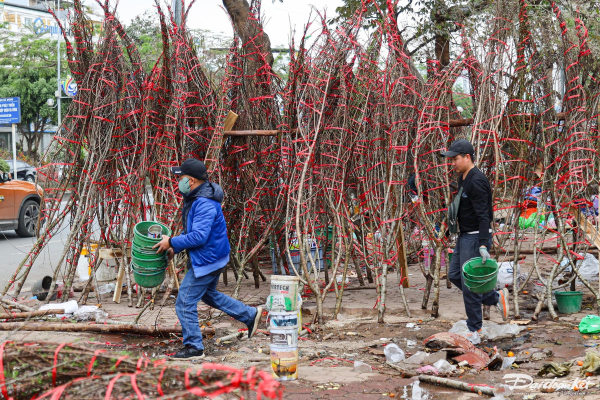 quat_dao-le-khanh75.jpg