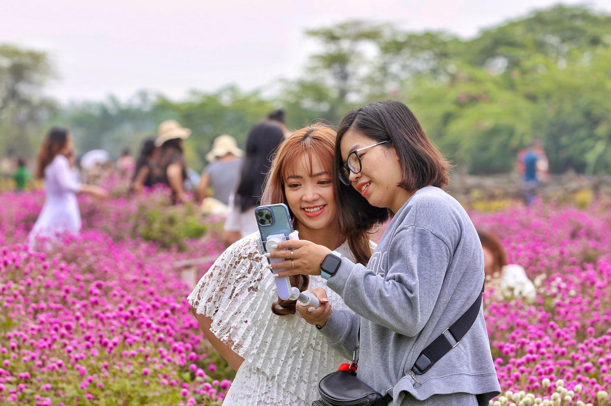 Chị Nguyễn Thu Quỳnh người đến chụp ảnh tại vườn hoa chia sẻ: “Sau khi nhìn thấy hình ảnh hoa bách nhật tím được các bạn trẻ đua nhau đăng trên mạng xã hội, tôi liền tìm ngay đến để ghi lại những khoảng khắc đẹp này. Chụp ảnh tại đây tôi có cảm giác như lạc vào xứ sở thần tiên”.