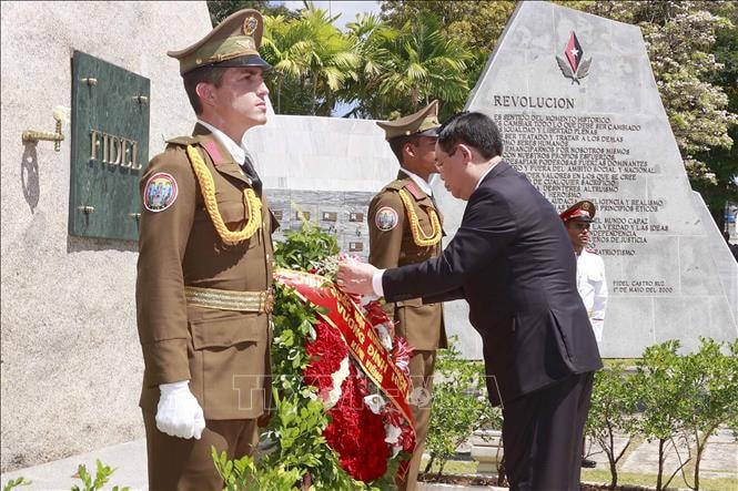 Chủ tịch Quốc hội Vương Đình Huệ đặt hoa và viếng mộ Tổng Tư lệnh Fidel Castro Ruz.