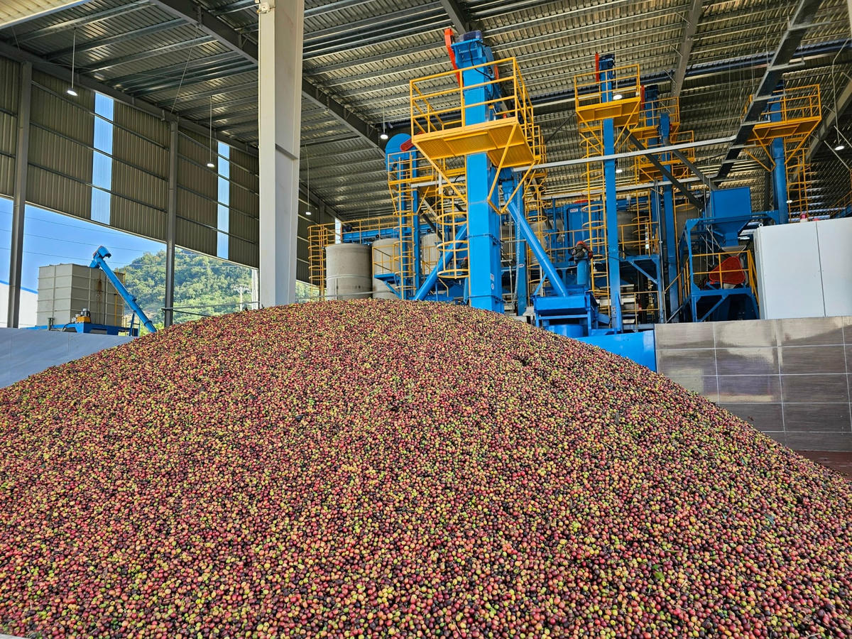 Công suất chế biến của nhà máy được thiết kế đạt 50.000 tấn quả tươi/năm (tương đương 12.500 tấn cà phê nhân/năm).