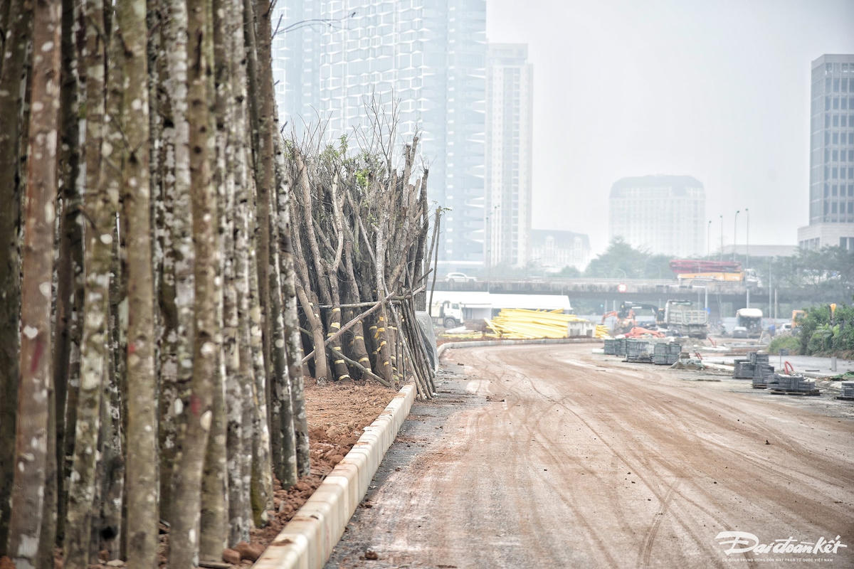 le_quang_dao-le-khanh12.jpg