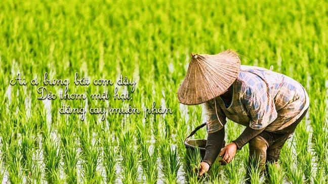 Hình ảnh trong MV “Tiếng Việt”.  