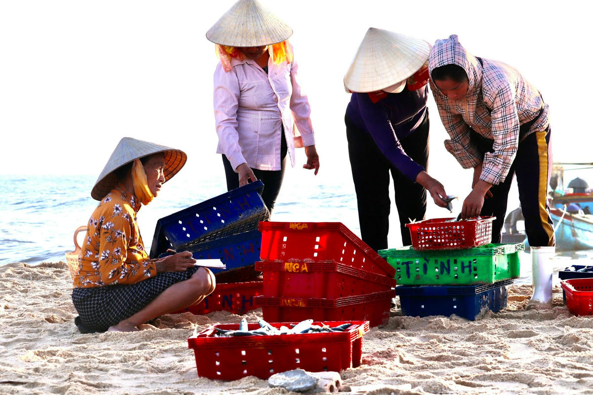 Chị Phạm Hồng Nhung (42 tuổi, ở xã Nhân Trạch, huyện Bố Trạch, Quảng Bình) cho biết: “Ngày hôm nay thuyền nhà tôi đánh bắt được gần 4 tạ cá trích, mỗi ngày đánh cá về trừ chi phí xăng dầu, nhân công cũng có thu nhập bình quân khoảng 3 - 4 triệu đồng/ngày. Nhờ sản lượng đánh bắt lớn nên ngư dân chúng tôi bớt lo đi giá xăng dầu, nếu so với giá xăng dầu năm trước thì chúng tôi sẽ bỏ túi hơn 6 triệu đồng/ngày”.