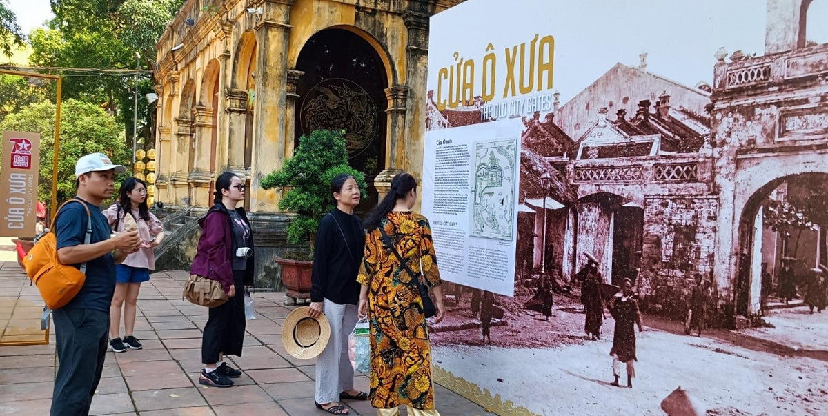 anh baiduoi