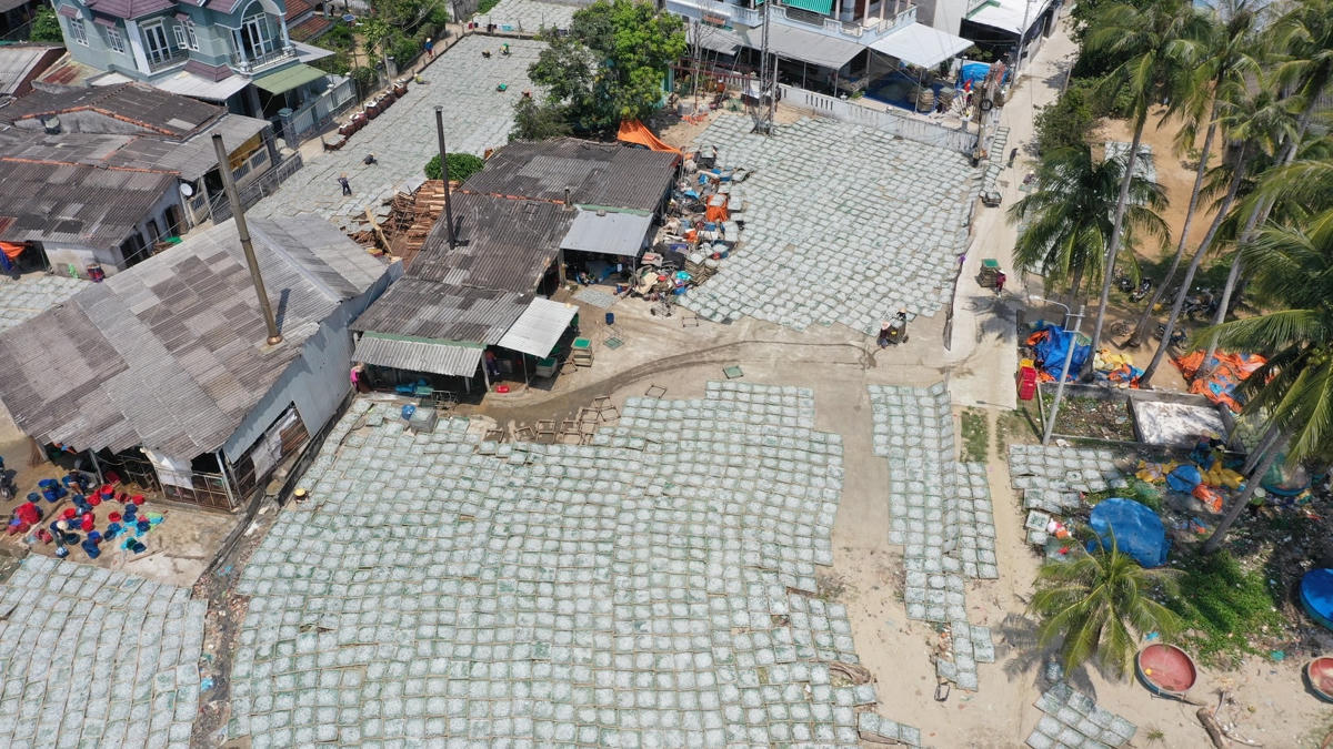 Cảnh phơi cá cơm ở làng Tịnh Kỳ được nhìn từ trên cao.