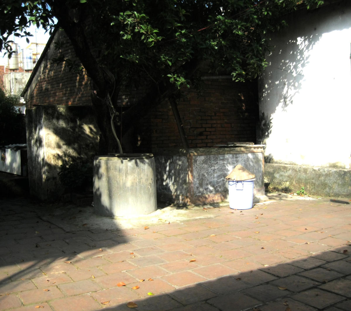 Ảnh: Hoàng Thu Phố.