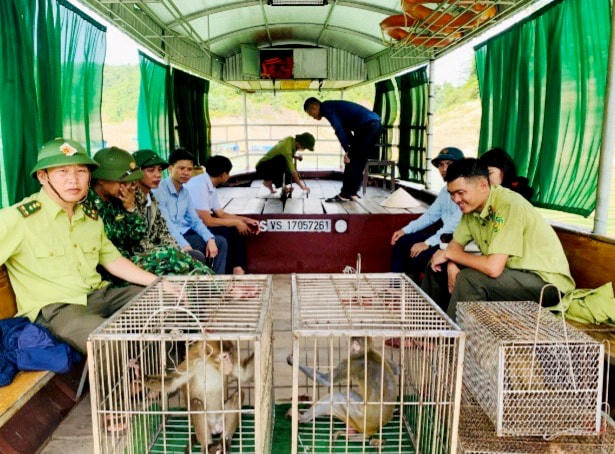Các cá thể động vật hoang dã được chăm sóc đảm bảo sức khỏe trước khi thả về môi trường tự nhiên.
