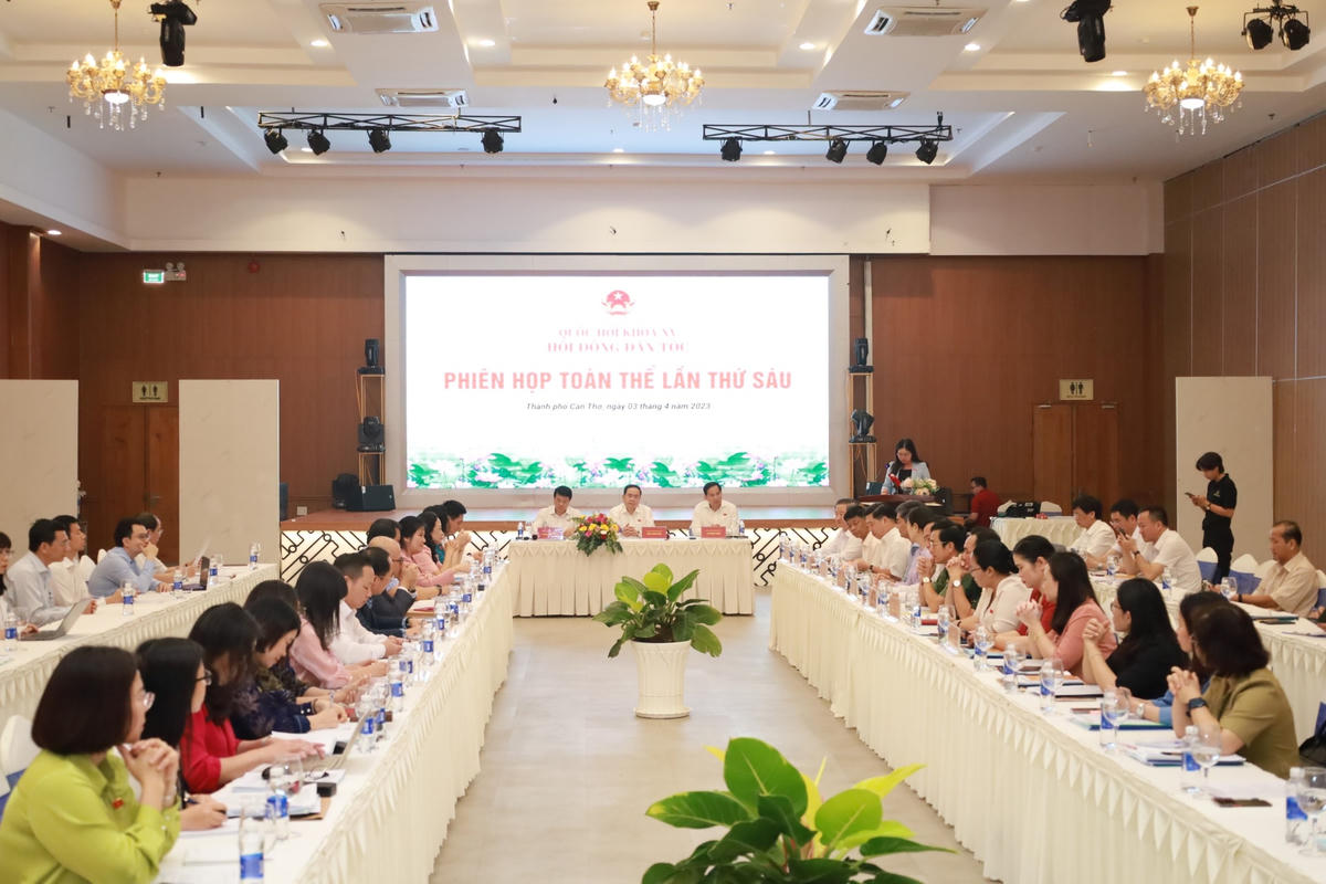 Quang cảnh phiên họp toàn thể lần thứ 6. 