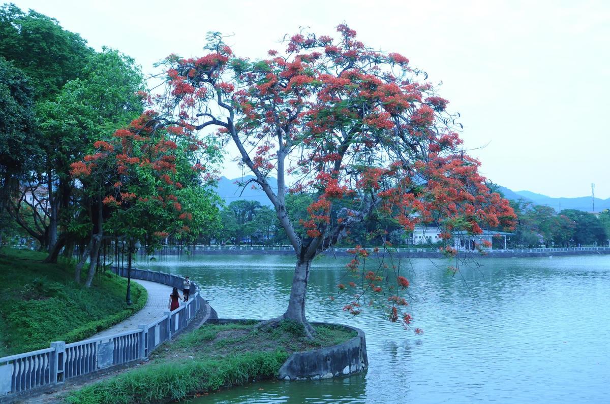 dsc_4994.jpg