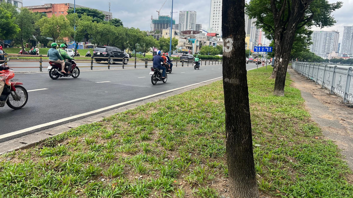 Đường Võ Văn Kiệt- đoạn đường có cây xanh số 243 - Ảnh: Nguyên Vũ