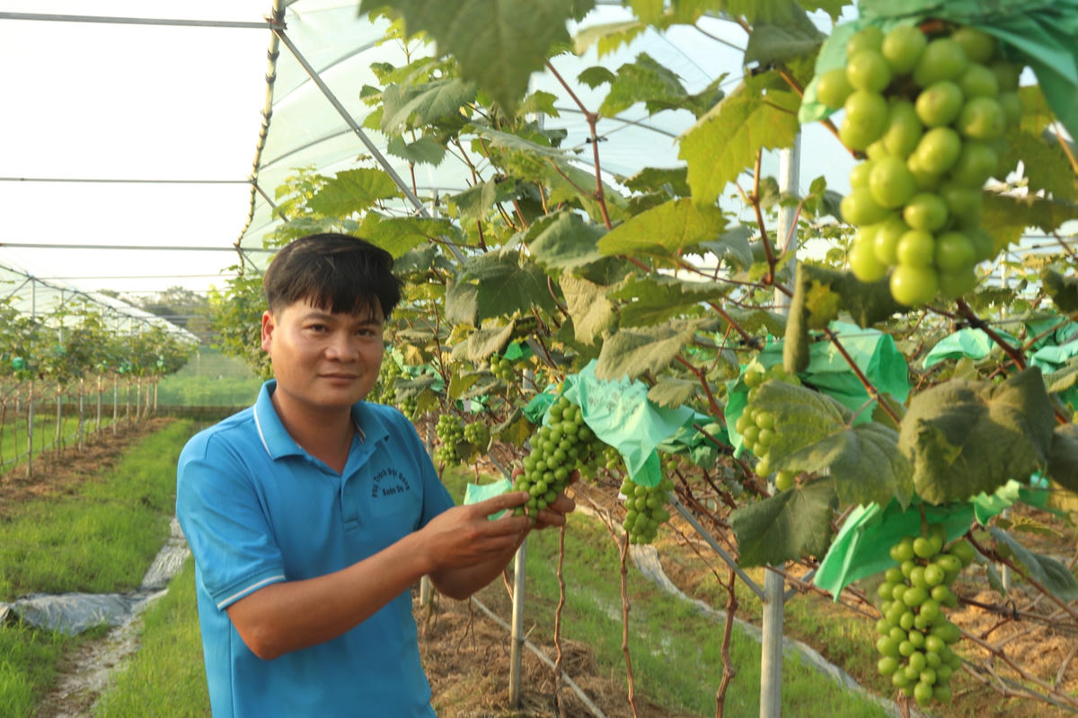 Anh Tuấn cho biết sẽ tiếp tục mở rộng mô hình này vào năm sau.