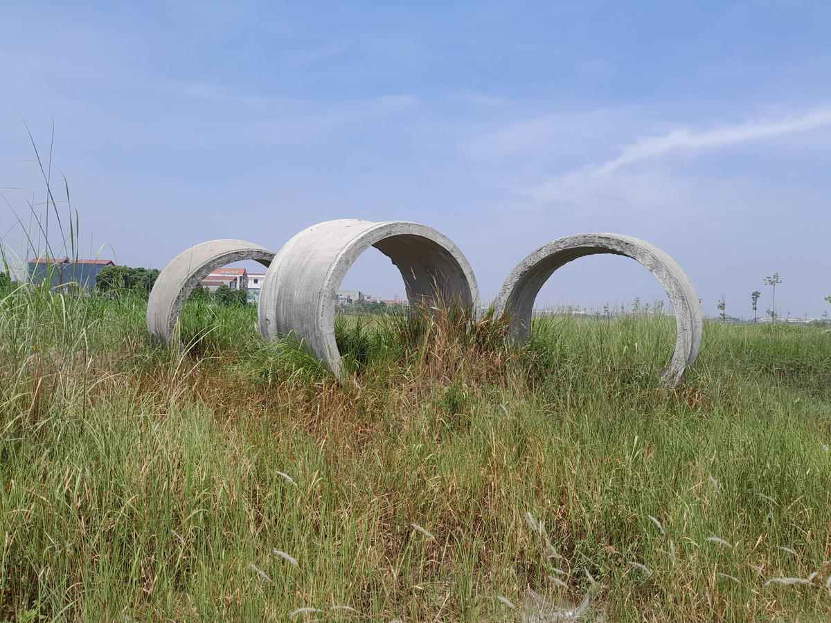Các cống bê tông nằm trong cỏ dại.