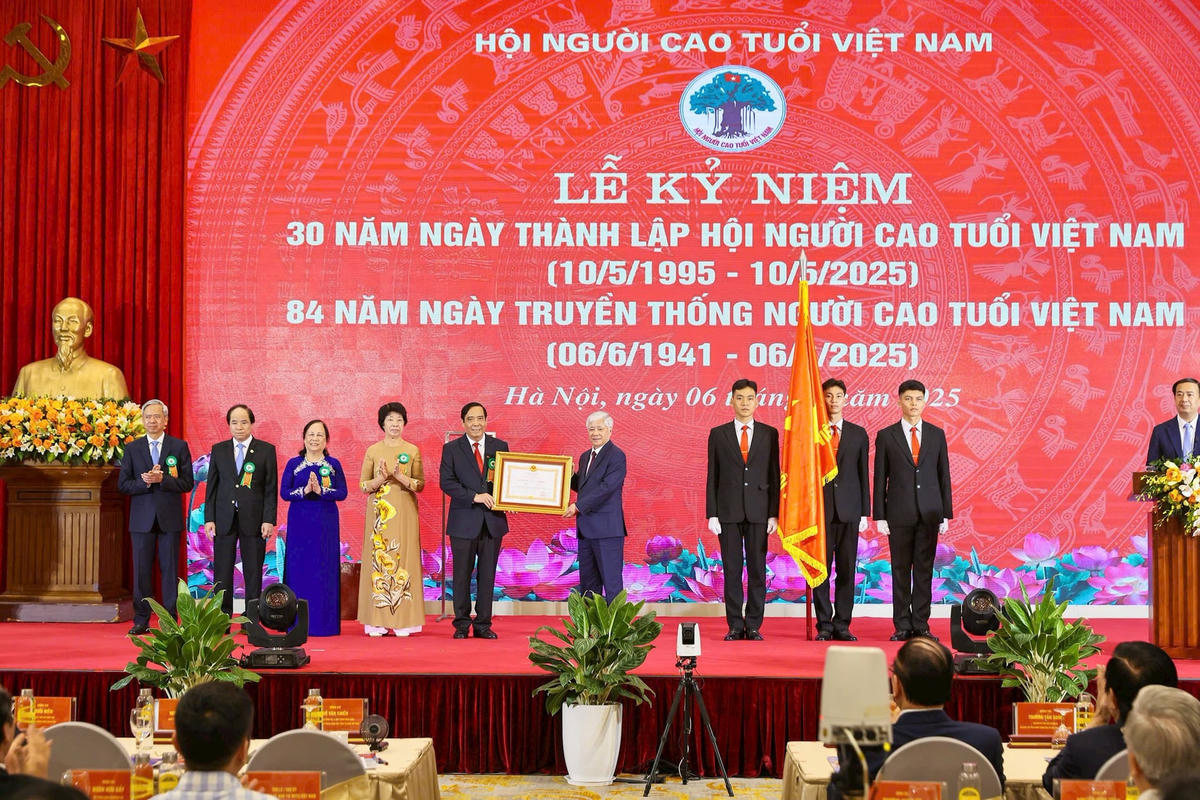Chủ tịch Đỗ Văn Chiến trao tặng Huân chương Lao động hạng Nhất cho Hội NCT Việt Nam. Ảnh: Quang Vinh