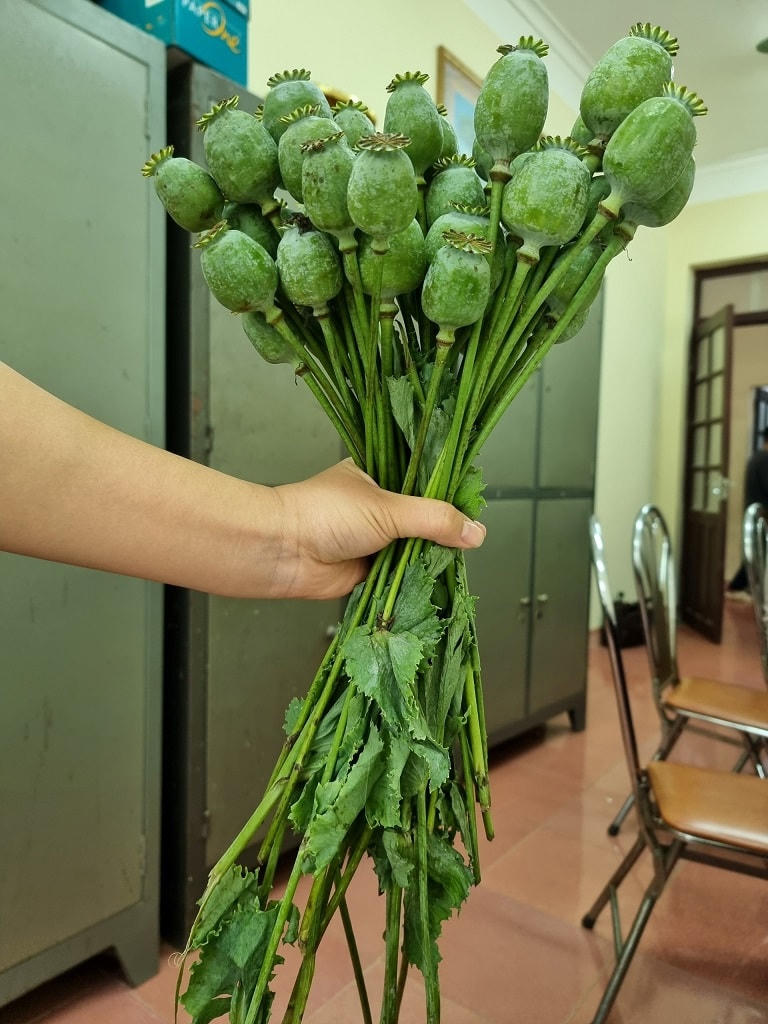 Tang vật thu giữ của đối tượng Lục Thị Thúy. Ảnh: Công an tỉnh Lạng Sơn.