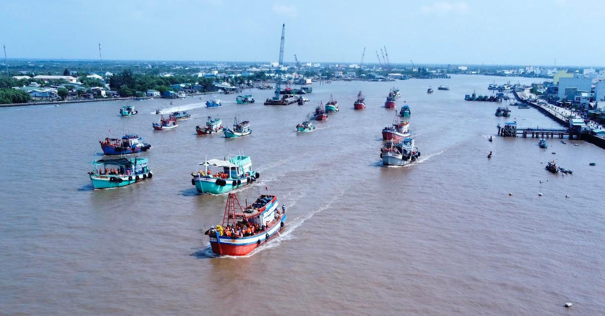 Đội tàu đánh bắt tại cửa biển Gành Hào huyện Đông Hải.