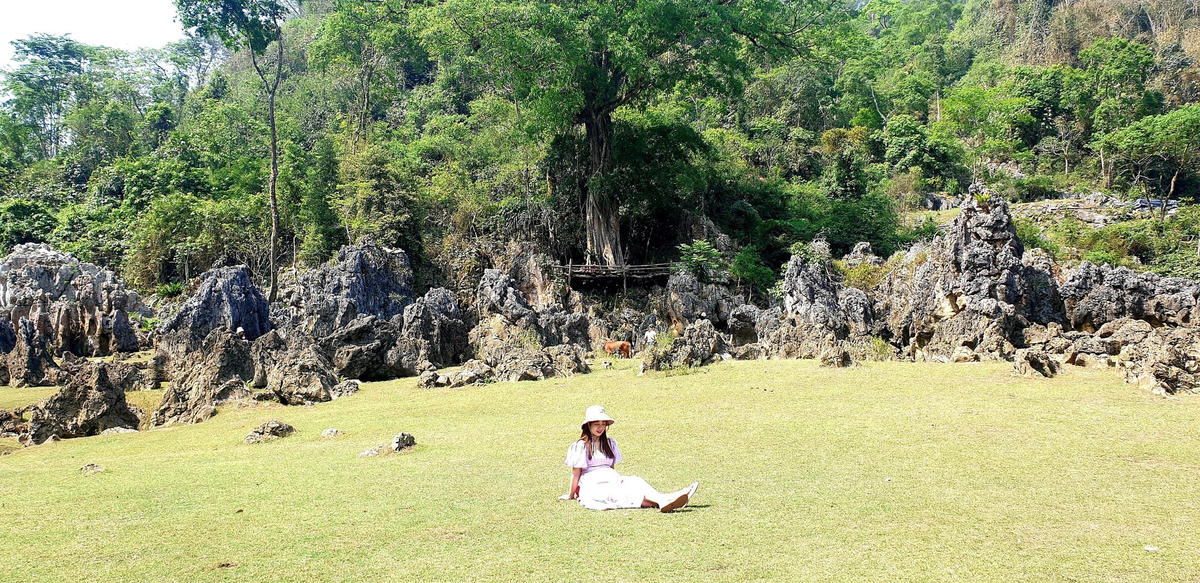 Nếu một ngày nào đó bạn cần tìm lại bản thân sau những bộn bề cuộc sống, hay muốn ngắm nhìn không gian xanh và nhịp sống chậm rãi, yên bình, lắng nghe tiếng động thiên nhiên bằng đôi tai, hít bầu không khí trong lành để vẻ đẹp nơi đây ngập tràn trong tâm hồn, thì chắc chắn Hang Táu sẽ là điểm đến hữu hiệu và tiết kiệm nhất để thanh lọc cơ thể.