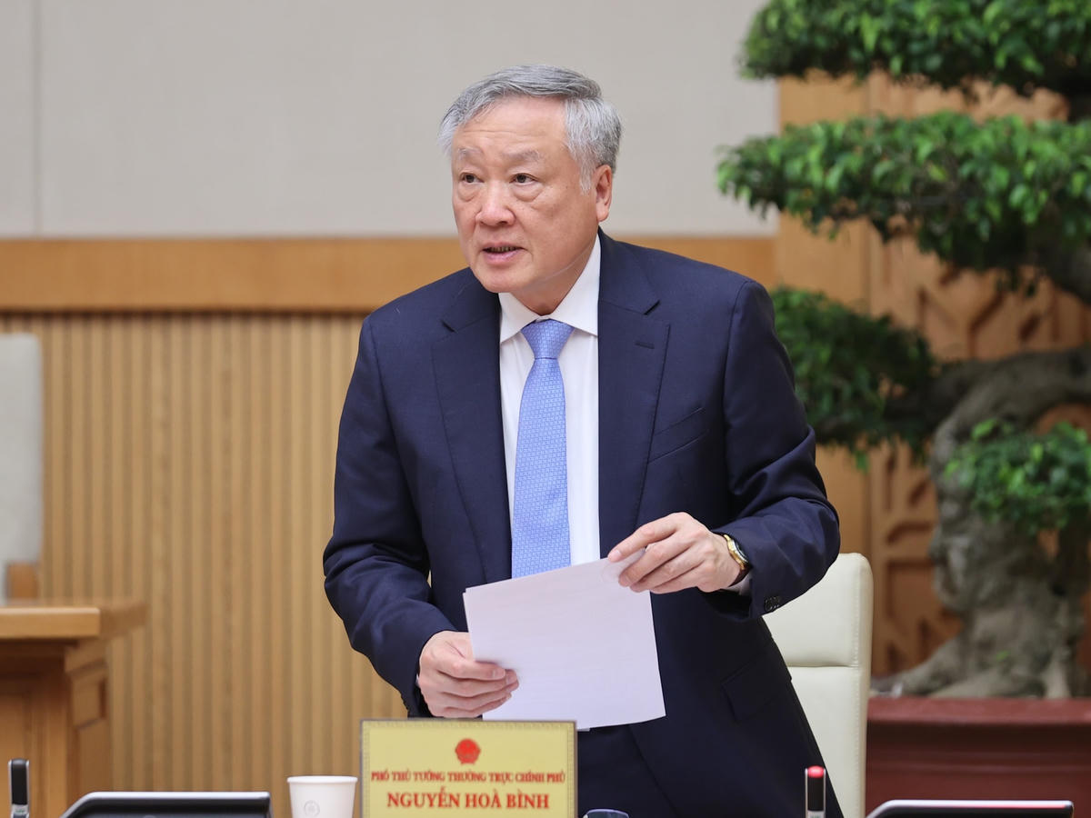 Thủ tướng: 'Làm ngày làm đêm, làm thêm ngày nghỉ' để hoàn thành công việc- Ảnh 3.