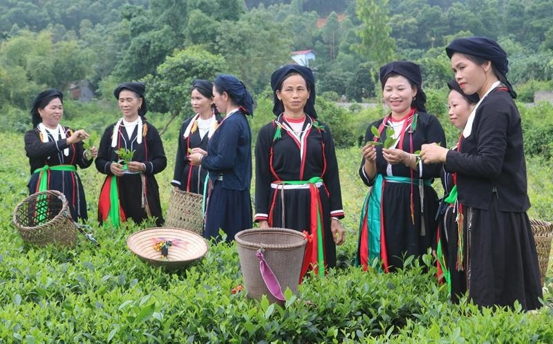 Đời sống đồng bào DTTS trên địa bàn tỉnh ngày càng được cải thiện.