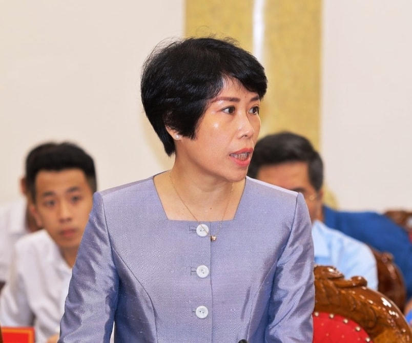 Thứ trưởng Bộ Kế hoạch và Đầu tư Nguyễn Thị Bích Ngọc phát biểu ý kiến tại buổi làm việc.