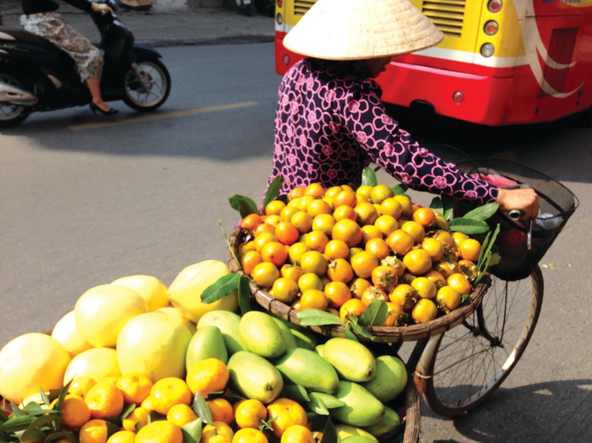 “Siêu thị trái cây” trên yên xe.  