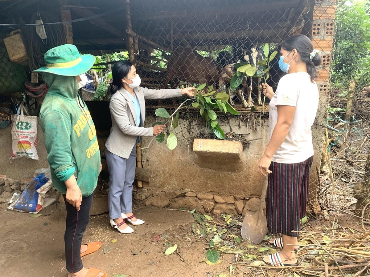 [ẢNH] Đắk Lắk: Nỗ lực thực hiện Chương trình MTQG 1719