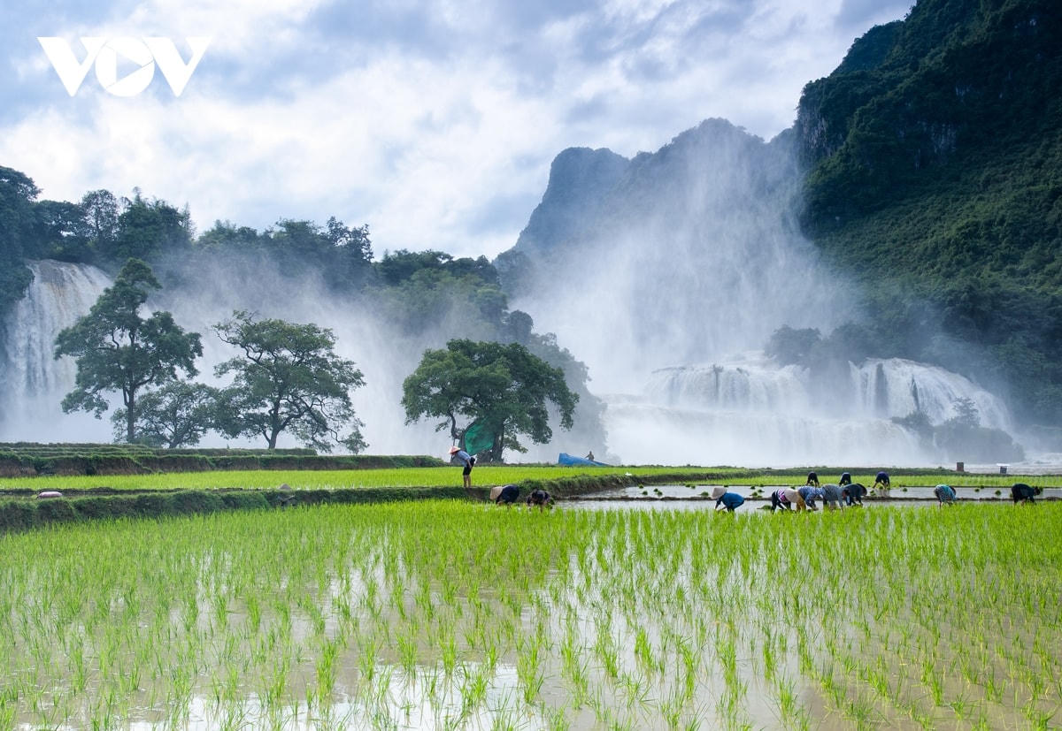 Mùa hè, du khách có thể ngắm thác nước mờ ảo trong ánh bình minh ban sớm.