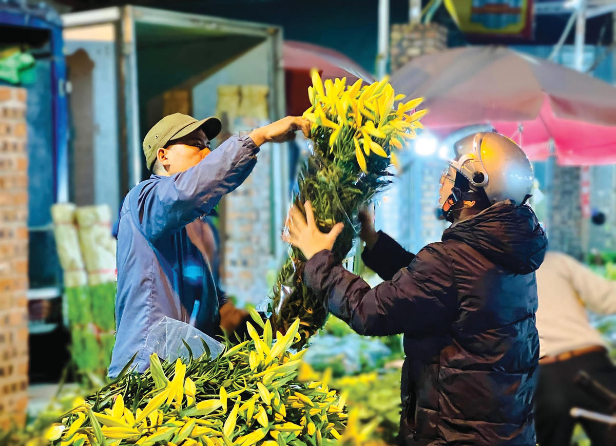 Nhiều người đến chợ hoa đêm để chọn mua hoa loa kèn.  