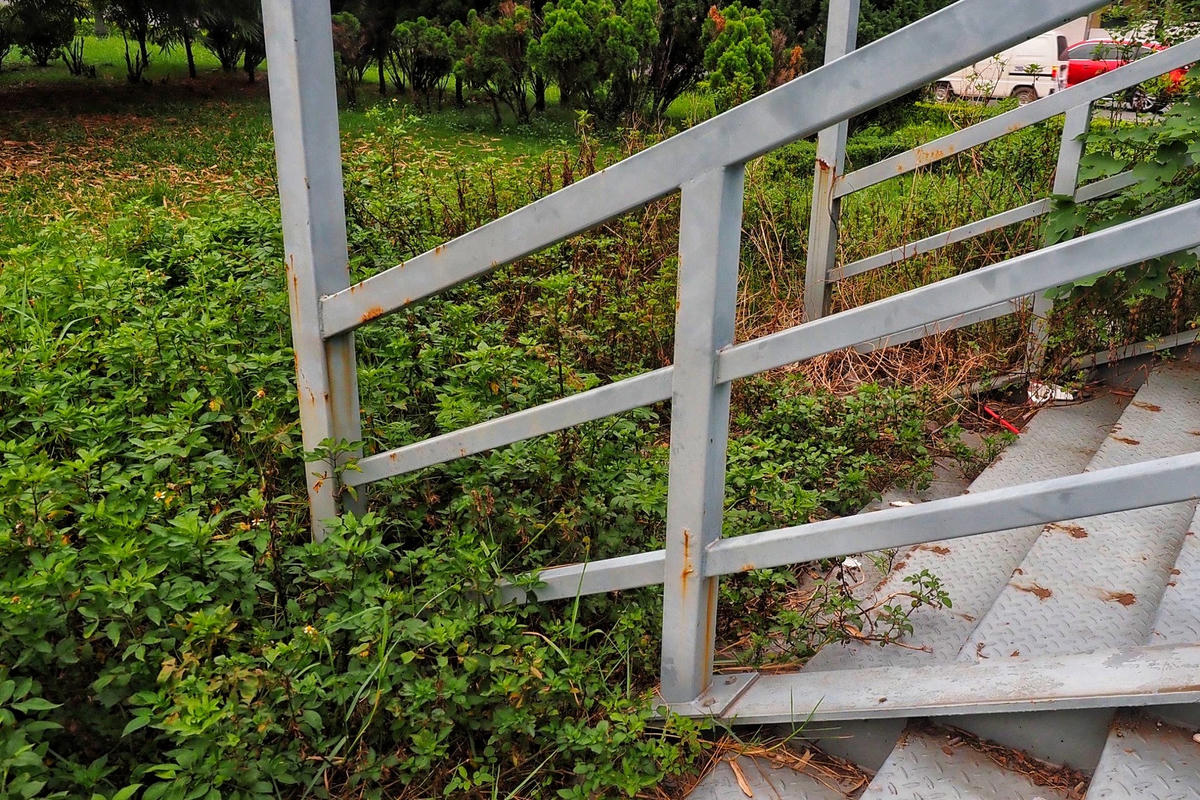 Hà Nội: Độc lạ cây cầu bộ hành đưa thẳng người đi bộ xuống bồn hoa