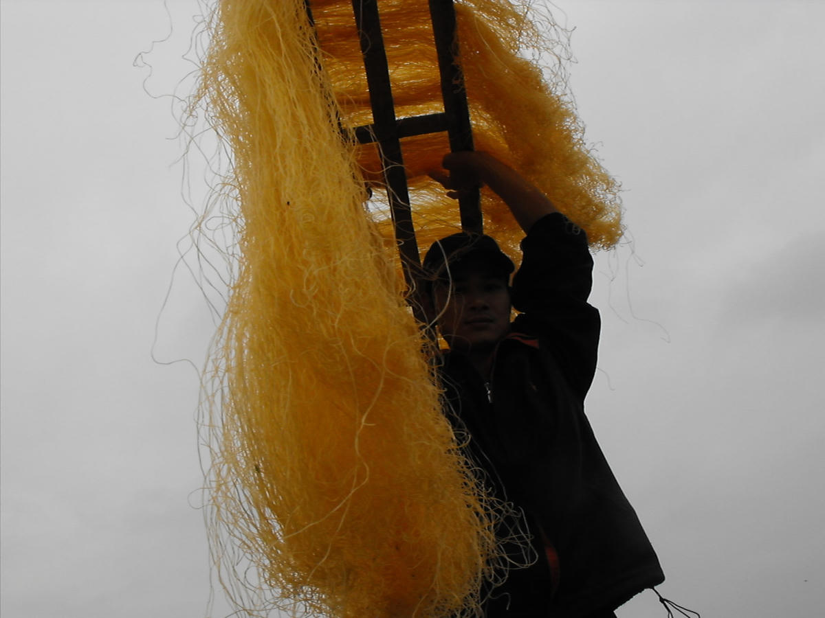 Làng Cự Đà nổi tiếng với nghề làm miến dong truyền thống.  