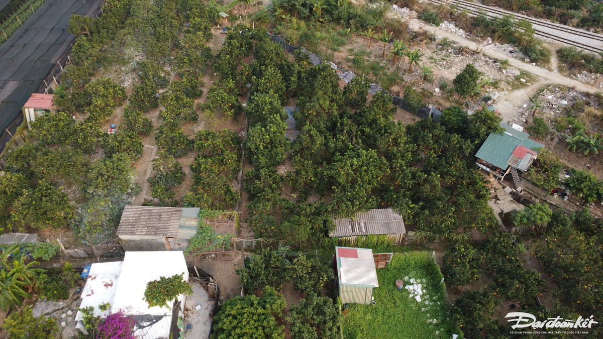 dji_0561.jpg