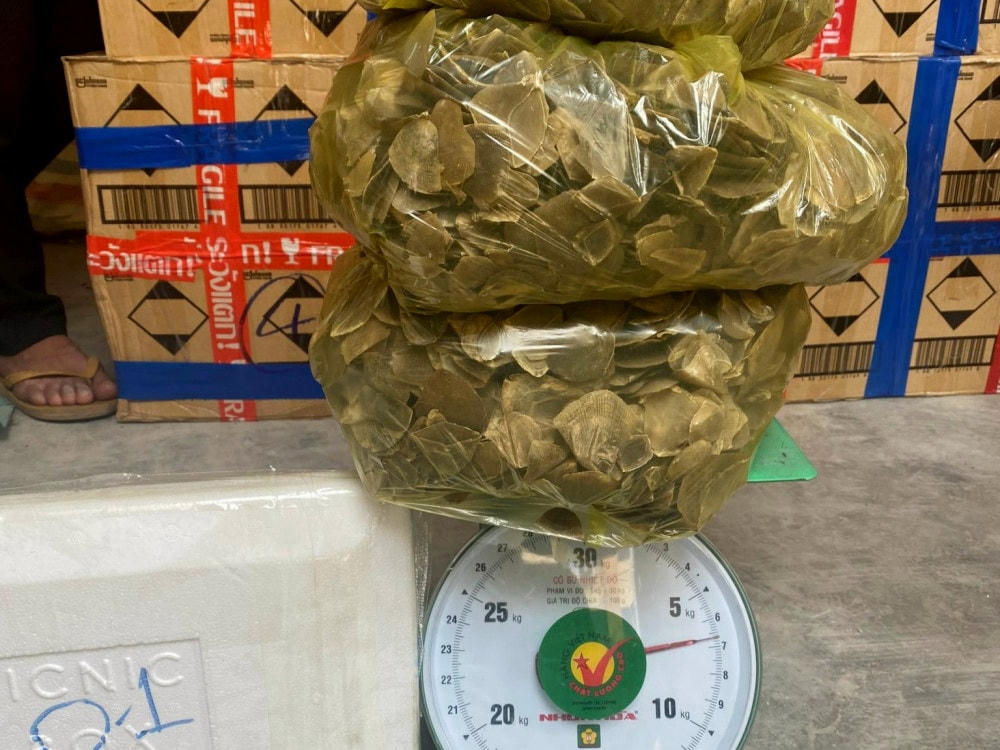 Tang vật vụ án.