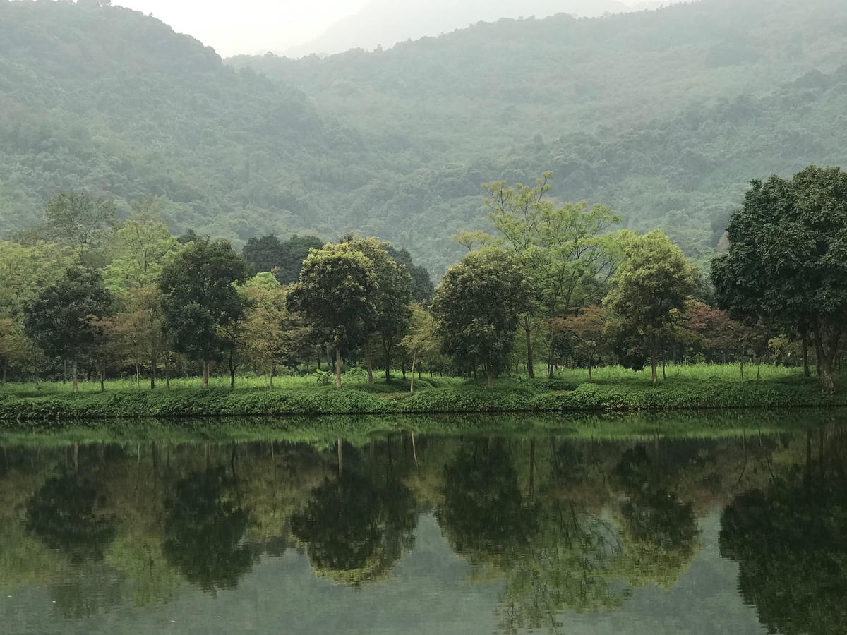 Ảnh: Việt Khánh.  