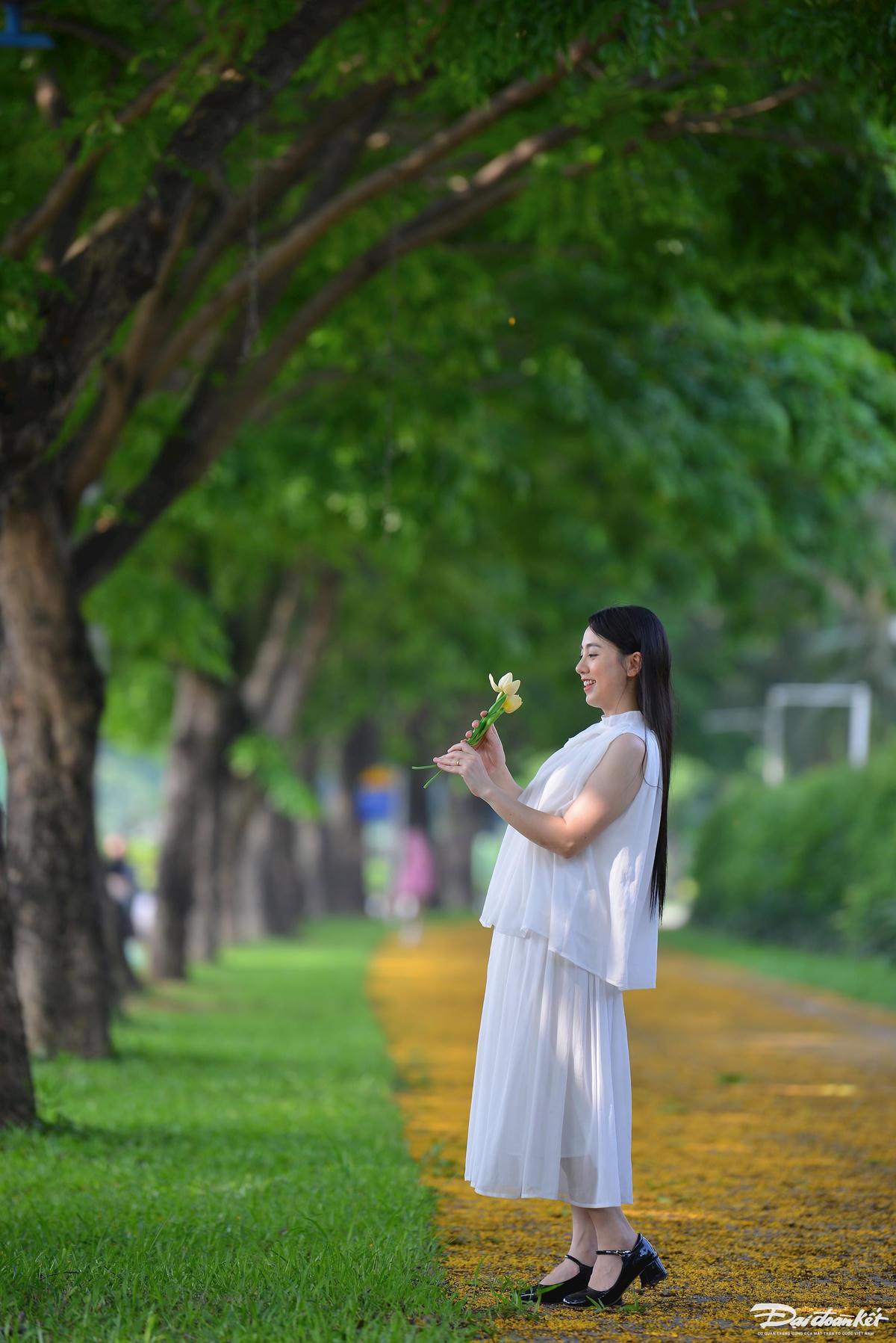 hoa_giang_huong-le-khanh20.jpg