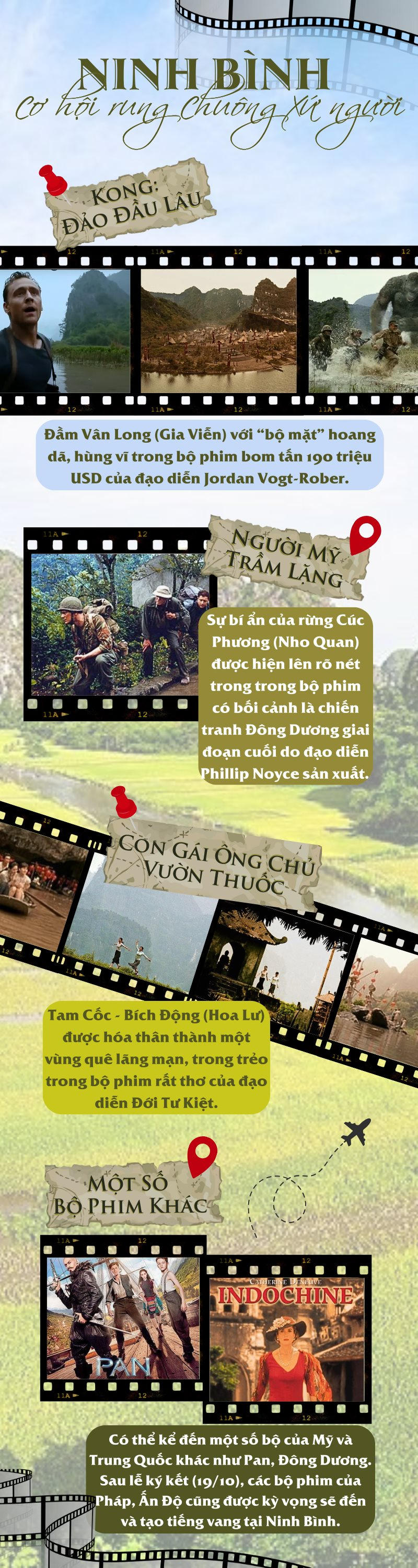 Infographic (1)