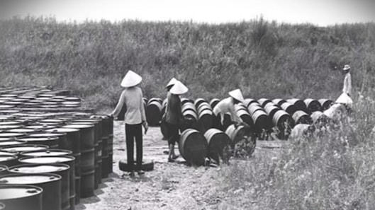 Cảnh trong phim “Những vùng đất hồi sinh”.