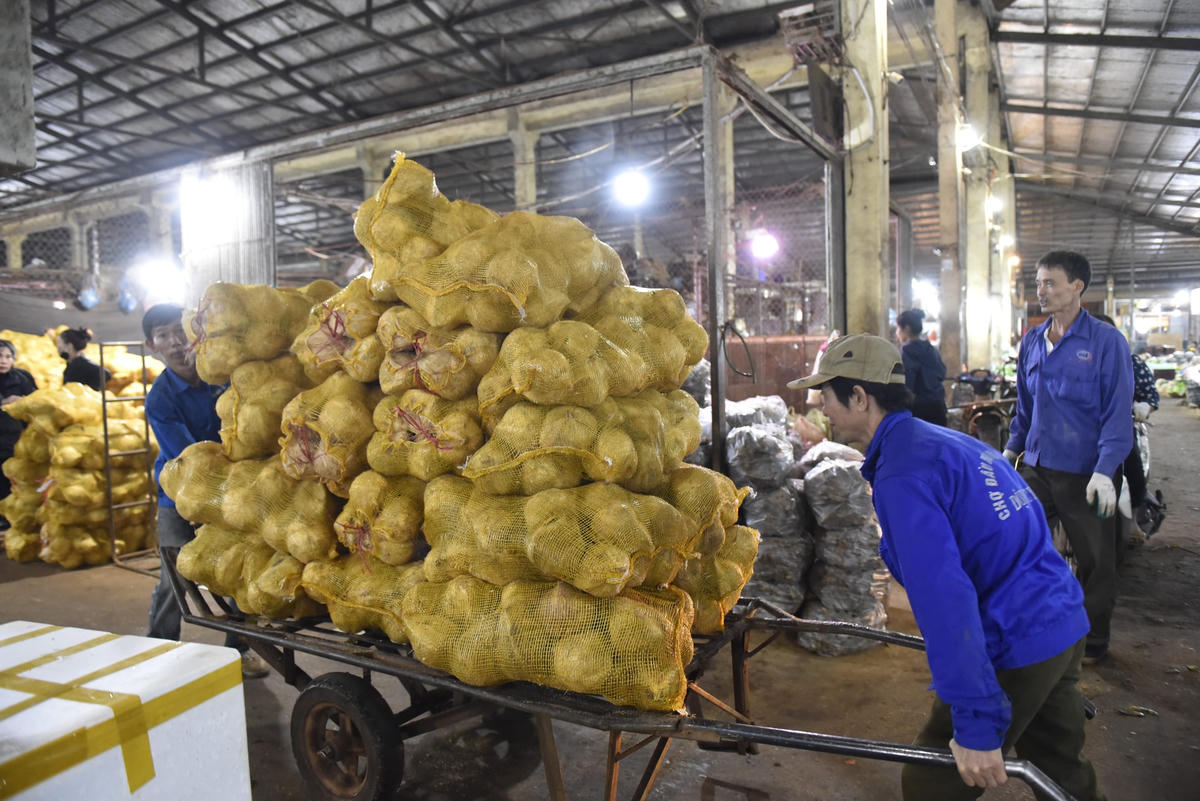 Hơn anh Tới khoảng 15 tuổi, bác Lò Văn Khuê (đã ngoài 50 tuổi, làm việc tại tổ bốc rau) cho biết: Năm nay, bác đã làm việc tại chợ đầu mối được 15 năm.