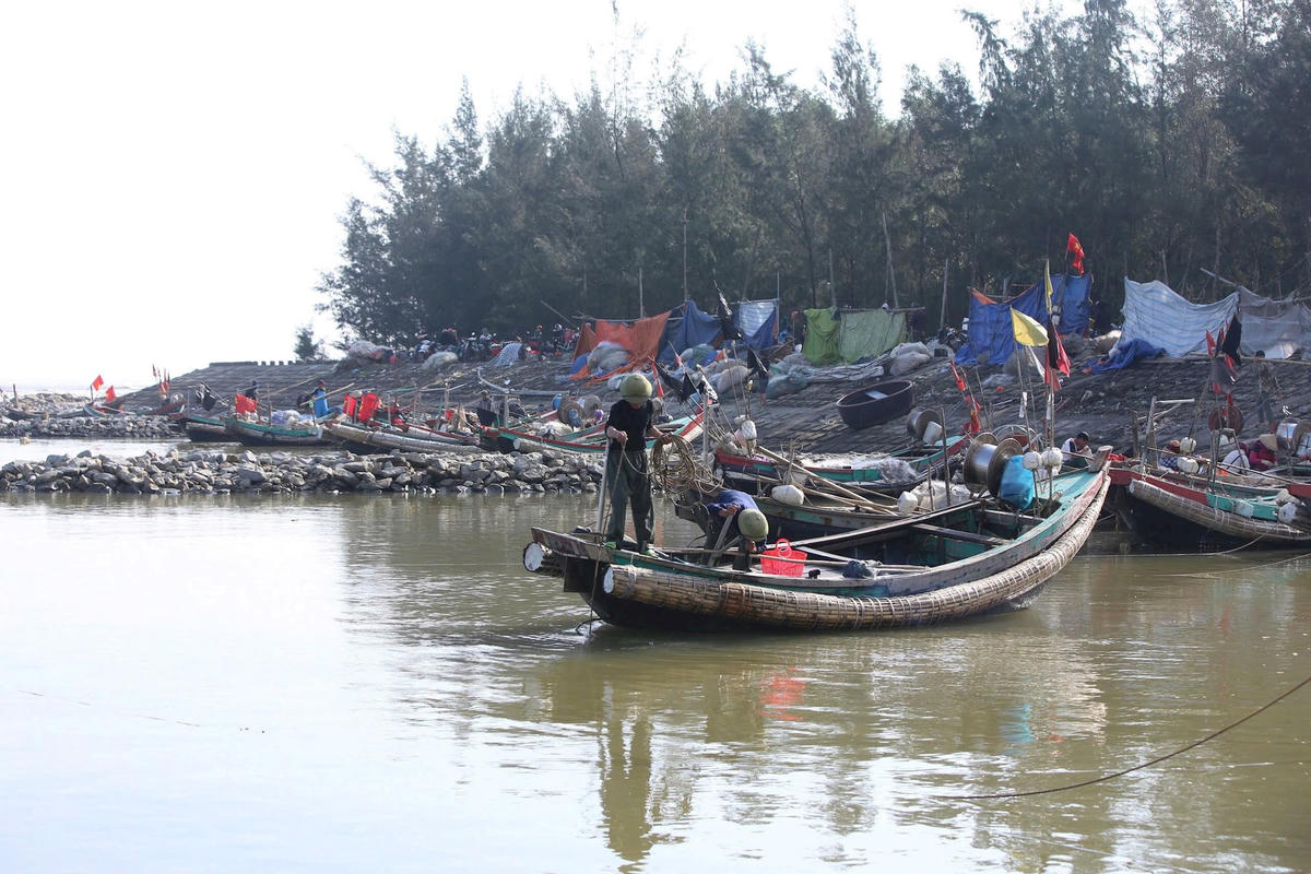 anh thay bai duoi