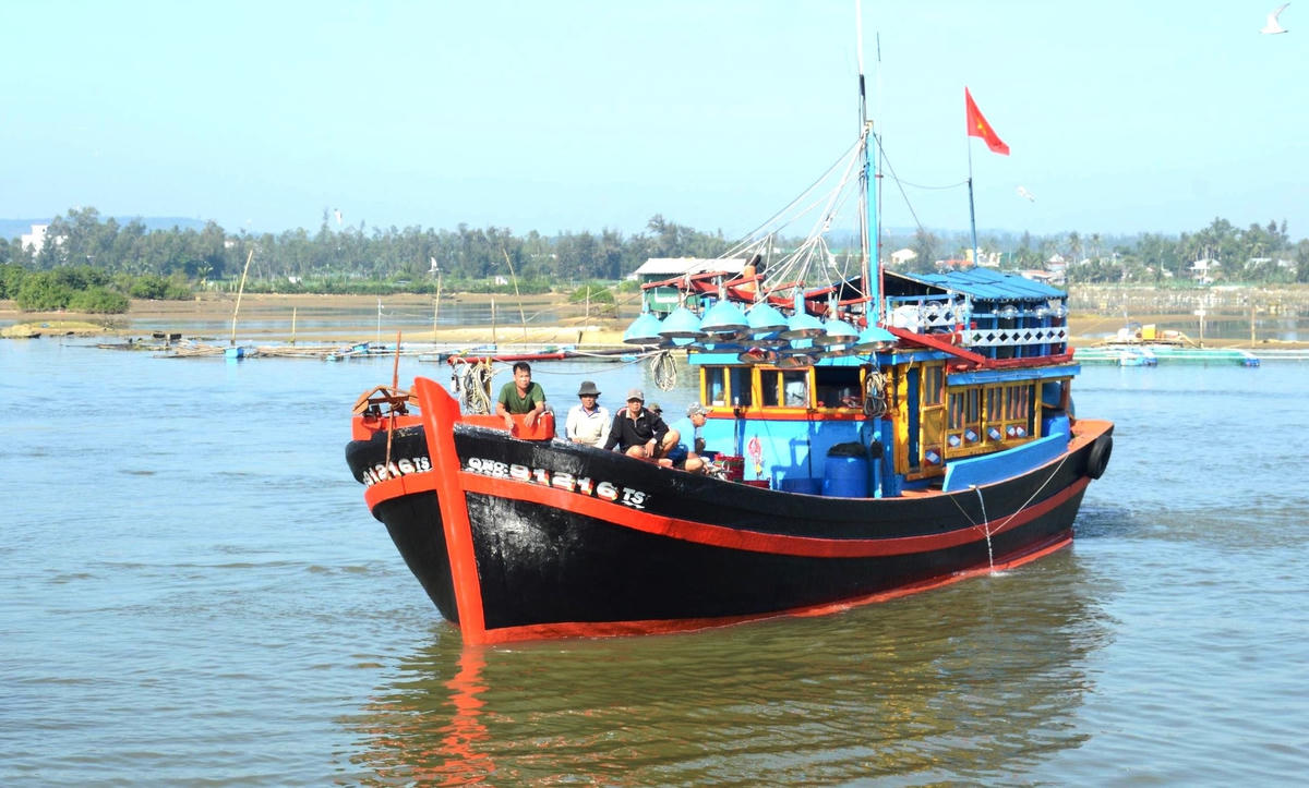 Tàu cá chở đầy khoang cá cơm vào cập cảng Tịnh Kỳ.