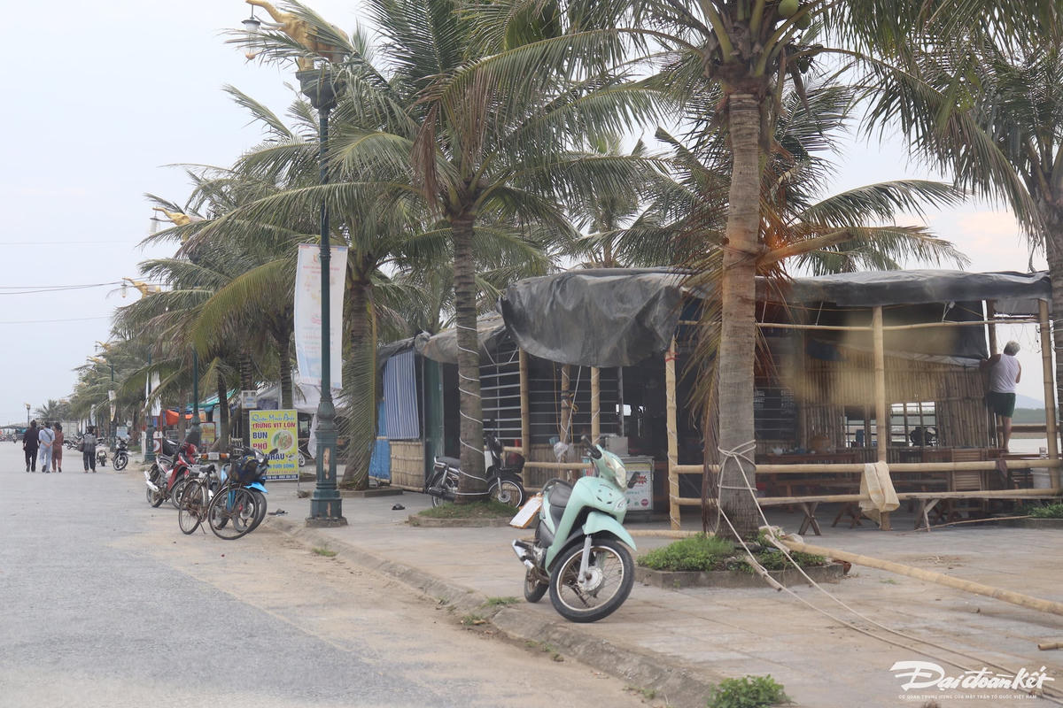 Không chỉ vậy, vi