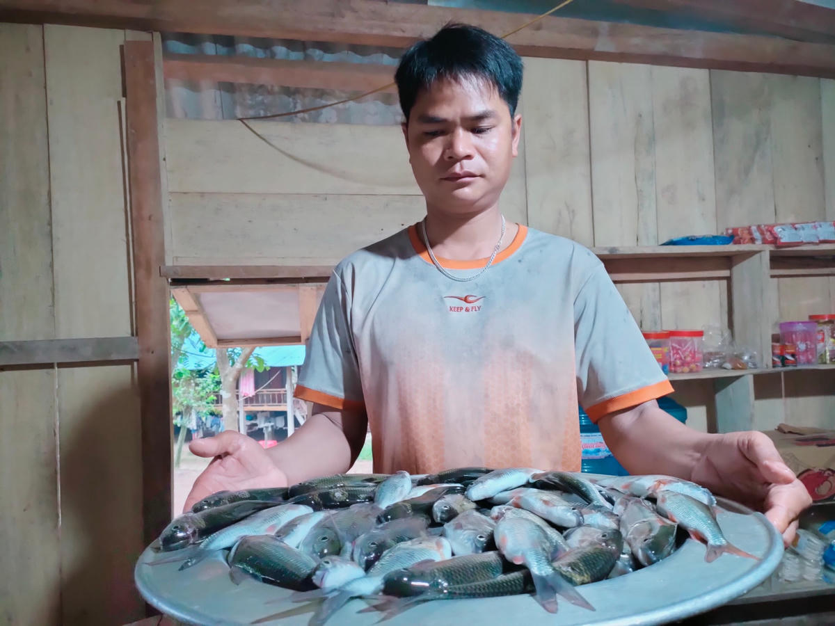 Cá mát - một loại đặc sản có thể chế biến thành những món ăn “gây thương nhớ” cho người thưởng thức.