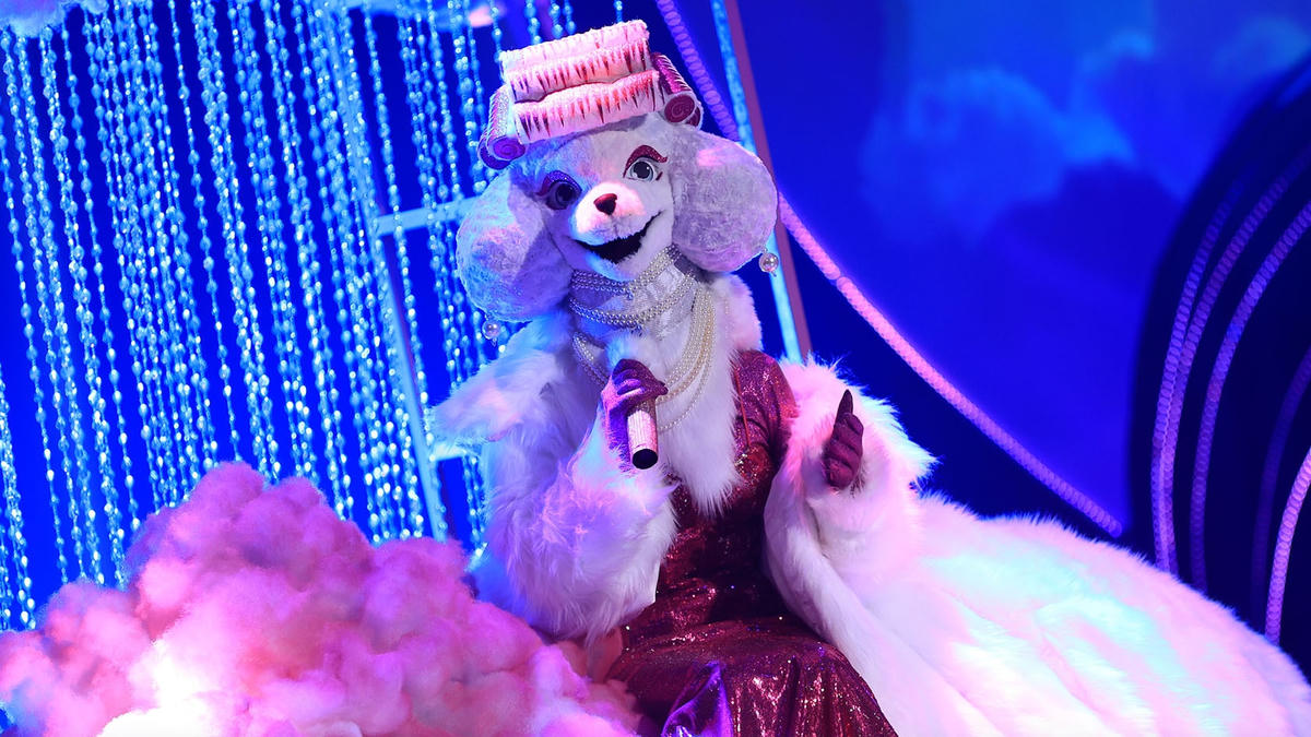 Phần trình diễn của Cún Tóc Lô. 